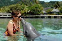01a plaing with dolphin at Moorea