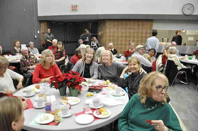 5 poinsetta25