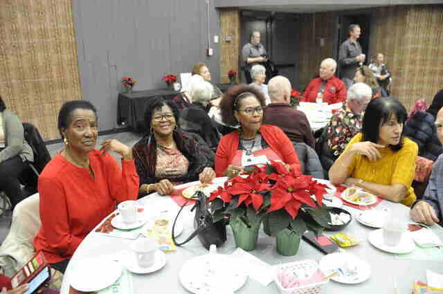 9 poinsetta25