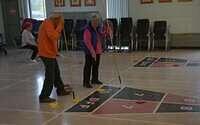 24 shuffleboard