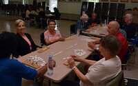 dominoes1