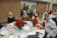13 poinsetta25