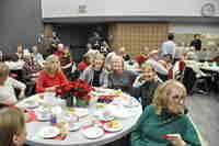 5 poinsetta25