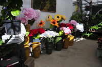 10 Bloom 26